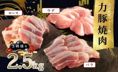 yYz͓ ؓ ē3퐷 2.5kg (o900g Ef600g [X1kg) Ă BBQ