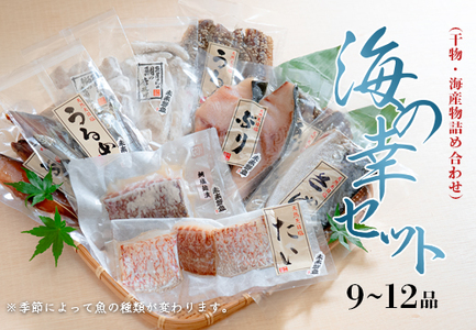 海の幸 干物セット 詰め合わせ 9～12品入り 鯛 うるめ あじ さば ぶり 朝食 弁当 夕食