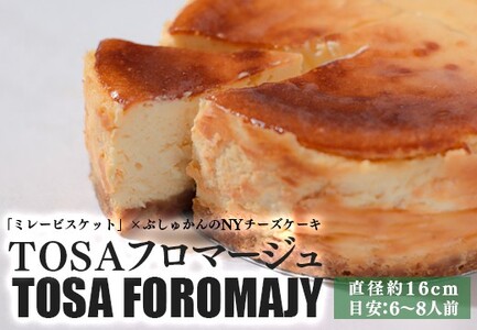 TOSAt}[W(~[rXPbg×l\ԂォNY`[YP[L)