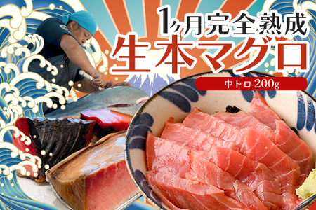 熟成 生 本マグロ 中トロ 200g 冷蔵 刺身用 国産 高知県産 高級 海鮮 熟成本まぐろ グルメ