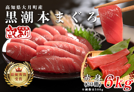 yAz{B{}O Ԑg 6kg {܂ e s hg ܂  Ɩp 󂠂