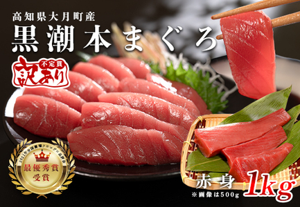[ふるなびWEEK対象][訳アリ]養殖本マグロ 赤身 1kg 黒潮本まぐろ