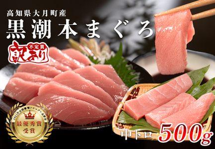 [ふるなびWEEK対象][訳アリ]養殖本マグロ 中トロ 500g 黒潮本まぐろ