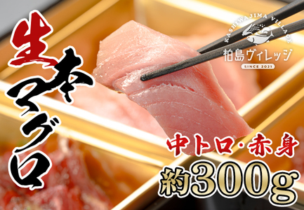  {}O g Ԑg hg 300g ① {B g {܂ { hg CN