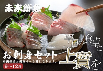 旬のお刺身用 柵セット 9〜12種 高知 海鮮 盛り合わせ 食べ比べ 鮮度抜群 刺し身 グルメ 酒の肴