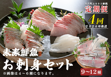 [定期便4回]旬のお刺身用柵セット 9〜12種 高知 盛り合わせ 厳選 ギフト 御中元 海の幸 寿司