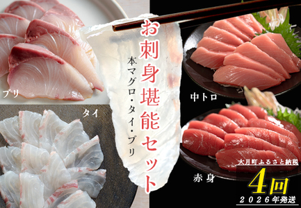 [定期便 4回] 本マグロ タイ ブリ 刺身 本まぐろ 真鯛 ぶり 堪能セット 産地直送 冷凍