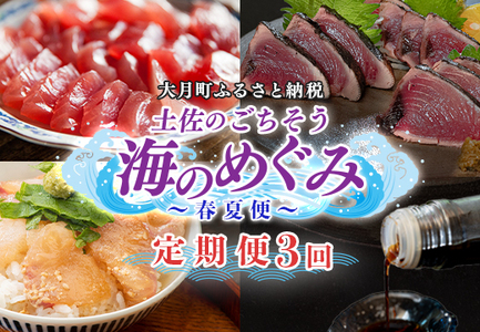 [定期便 3回]土佐のごちそう 海のめぐみ 春夏便 藁焼き 鰹たたき マグロ 赤身 真鯛 漬け丼