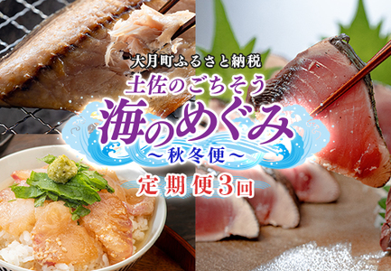 [定期便 3回]土佐のごちそう 海のめぐみ 海鮮 秋冬便 藁焼き 鰹たたき 一夜干し 干物 漬け丼