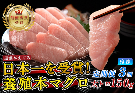まぐろ マグロ 本鮪 黒潮本まぐろ 大トロ 定期便 3回 150g × 3回 刺身 冷凍 産地直送