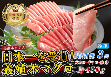 まぐろ マグロ 本鮪 黒潮本まぐろ 大トロ 中トロ 赤身 定期便 3回 計450g × 3回 刺身