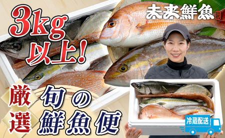 鮮魚 3kg〜 鮮魚ボックス 詰め合わせ 刺身 刺し身 さしみ 鮮度抜群 産地直送 高知県産