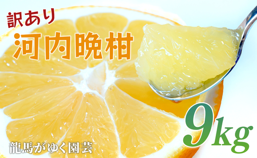 [訳あり] 河内晩柑 9kg (M〜5L) 大容量 ばんかん 晩柑 夏文旦 家庭用 みかん 柑橘