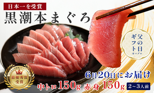 [父の日]6月20日お届け限定 本マグロ 中トロ・赤身 食べ比べ 日本一