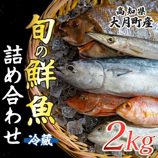 高知県産 鮮魚 詰め合わせ便 2kg 谷鮮魚食堂 刺し身 煮付け 産地直送 生魚 刺身 刺し身