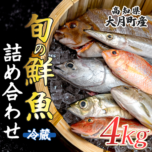 高知県産 鮮魚 詰め合わせ便 4kg 谷鮮魚食堂 内臓未処理 産地直送 生魚 海鮮 セット 刺身 刺し身 煮付け カツオのたたき 詰合せ 食べ比べ グルメ 魚 お取り寄せ ギフト 贈答用 鮮魚セット 高知県 海鮮セット 大月町