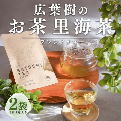 広葉樹のお茶 里海茶 ブレンド 2袋 14パック入り カフェインフリー 野草茶 高知県 大月町