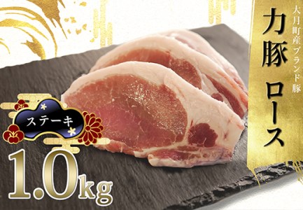 [国産]力豚 豚肉 ロース ステーキ用1kg 小分け ブランド豚 お祝い ご褒美 真空 ポーク 冷凍