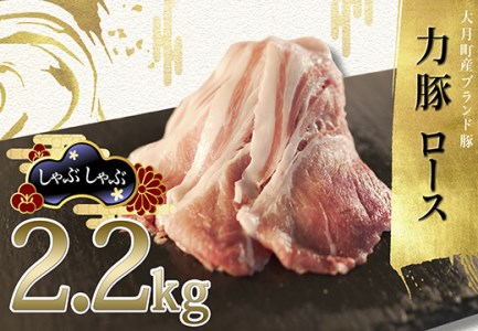 ym 匎Yuh؁z͓؃[X@Ԃ2.2kg