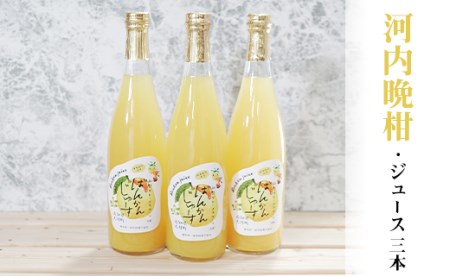 柑橘「河内ばんかん」ジュース3本セット