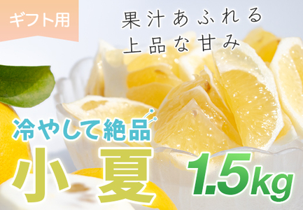 小夏 1.5kg 贈答 ギフト用 日向夏 ニューサマーオレンジ 柑橘 みかん ノーワックス こなつ くだもの 果物 産直 旬の果物 お取り寄せ 産地直送 フルーツ 爽やか スッキリ 甘い 高知県 大月町産 コーラルフルーツ農場