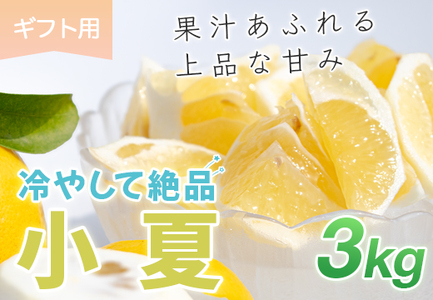小夏 3kg 贈答 ギフト用 日向夏 ニューサマーオレンジ くだもの 果物 旬の果物 高知県 大月町