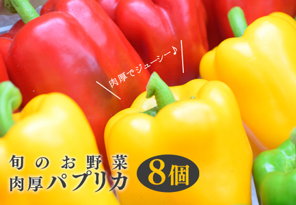 【高知県 大月町産】田村農園の肉厚パプリカ　8個