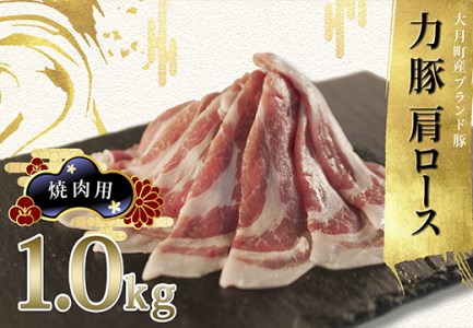 [高知県 大月町産ブランド豚]力豚肩ロース 焼き肉用1kg