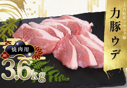 [高知県 大月町産ブランド豚]力豚ウデ肉 焼肉用3.6kg
