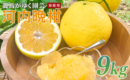 河内晩柑 9kg （M～5L） 【家庭用】 大容量 ばんかん バンカン 晩柑 夏文旦 みかん 柑橘