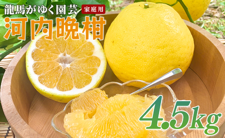 河内晩柑 4.5kg (M〜5L) [家庭用] ばんかん 晩柑 バンカン 夏文旦 みかん 柑橘