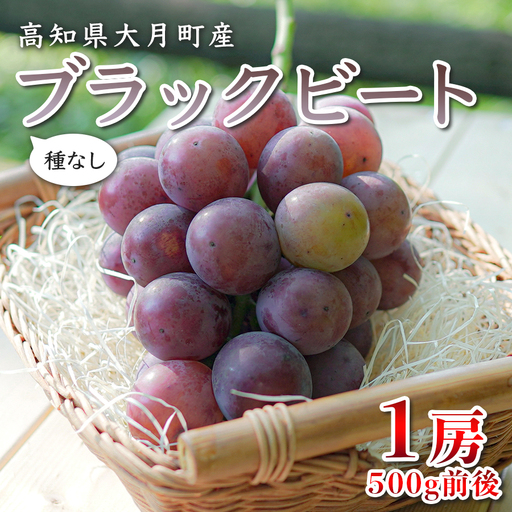 [2026年8月発送予定]ぶどう 種なし ブラックビート 1房 (500g) ブドウ 葡萄 数量限定