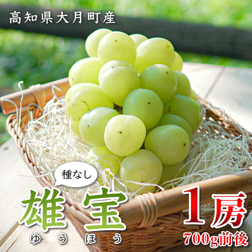 [2026年8･9月発送]大粒 ぶどう 種なし 雄宝 1房 (700g) 高級 ブドウ 葡萄 グレープ 数量限定 期間限定 先行予約 冷蔵 果物 くだもの フルーツ ギフト 贈答 甘い おすすめ 人気 新鮮 こだわり 松田ぶどう園 高知 大月町