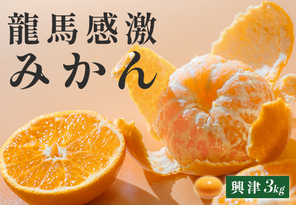 ym 匎YzR[t[c_ n݂()@3kg