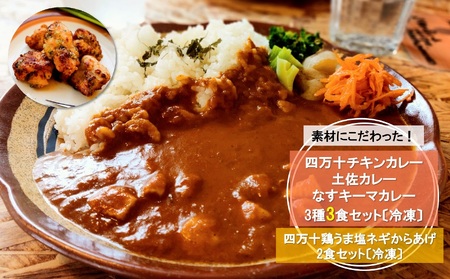 素材にこだわった! スパイス カレー [ 四万十 チキン ・土佐・なす キーマ (3種3食)]と 四万十 鶏 うま塩 ネギ からあげ(2食) セット 〔冷凍〕[1625-2]