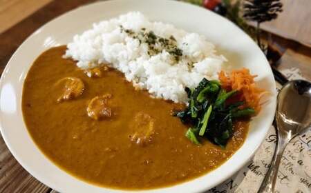 めっちゃ!! エビ カレー( 黒潮町産 天日塩 使用) 5食〔冷凍〕[1637-2]