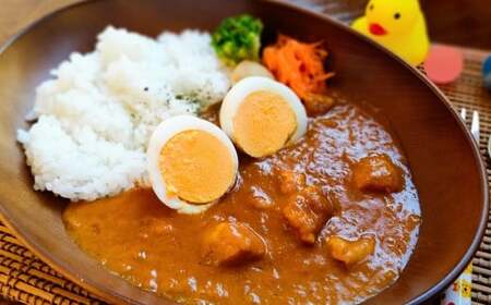 お子様用 チキンカレー 5食セット スパイスカレー 冷凍 [1640]