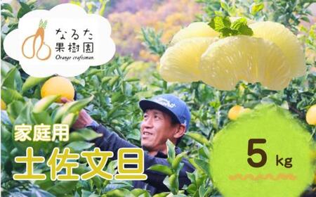成田果樹園 の 土佐文旦 5kg 文旦 大玉 家庭用 ぶんたん [1685]