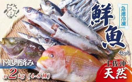冷凍魚セット 2kg(4~8種) 下処理済み 冷凍鮮魚[1714]