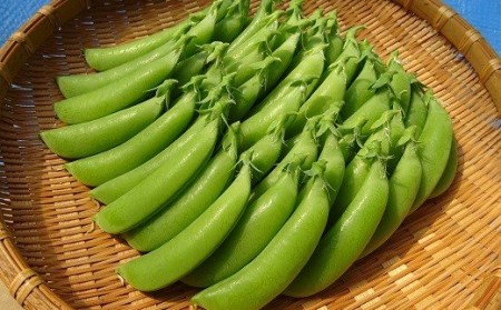 米津農園 の スナップ エンドウ 2kg 高知県 黒潮町 産[1430]