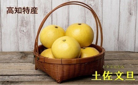 楽木工房 の 土佐文旦 (ご 家庭用 ) 10kg [L・2Lサイズ][1513]