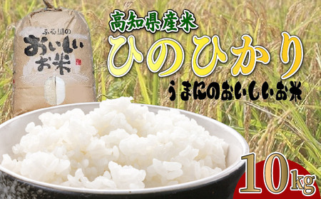 ߘa7NY 10kg Ђ̂Ђ  m1533-3n