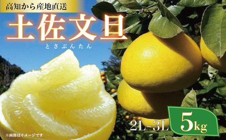 yU 5kg 2L`3LTCYi ƒp j Ac_ m1535n