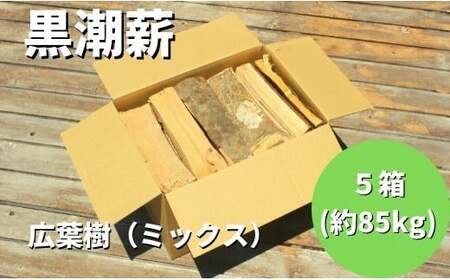 黒潮 薪 5箱 約85kg コース 薪 薪 薪 薪 薪 [1605]