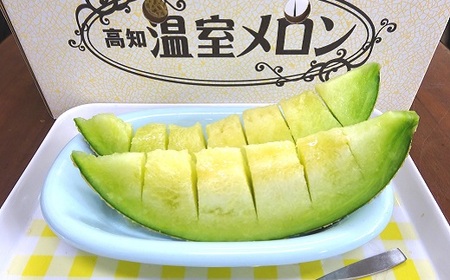 ハルユキ君の アールス メロン 2玉 セット 高知県 黒潮町産 [0939]