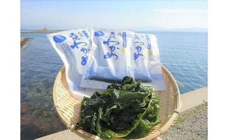 kB Y VR 킩 100g×15  킩