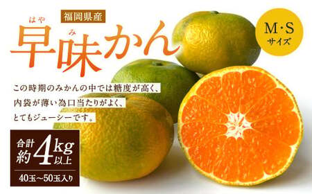 福岡県産 早味かん 約4kg以上 (40玉〜50玉入り) M・Sサイズ [2025年9月下旬-10月下旬発送予定] みかん 早生みかん ミカン 果物 くだもの フルーツ