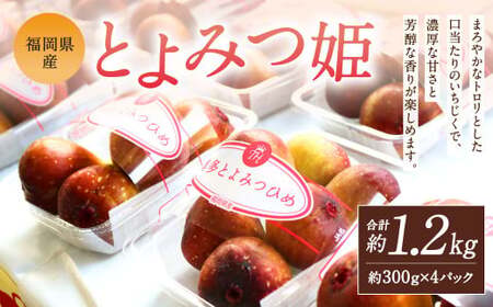 福岡県産 とよみつ姫 約1.2kg (約300g×4パック入り)[2025年9月下旬-10月下旬発送予定] いちじく フルーツ 果物 くだもの