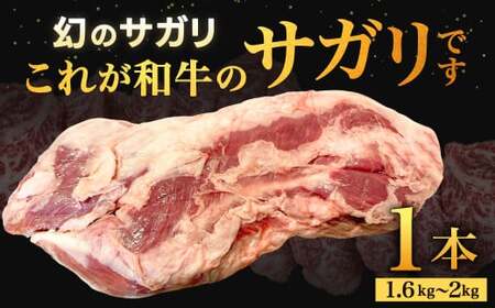 幻のサガリ これが和牛のサガリです【2026年1月上旬～2月下旬発送予定】黒毛和牛 和牛 サガリ 肉 お肉 高級 サシ 焼肉 BBQ 希少 新鮮 国産 九州産 冷蔵