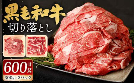 九州産 黒毛和牛 切り落とし 600g (300g×2パック)[順次発送] お肉 牛肉 国産牛 和牛 冷凍 小分け